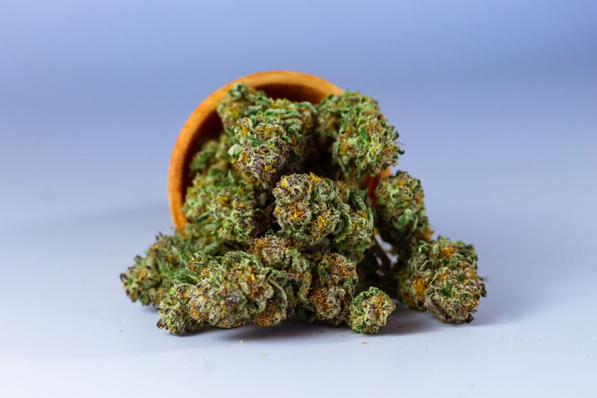fleurs cbd reconnaître odeur texture trichomes